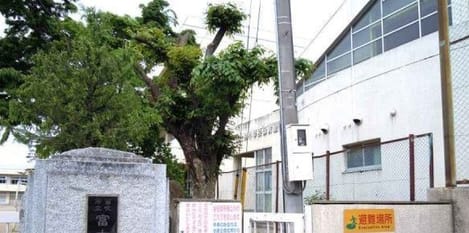 Naikan18 20200318000000