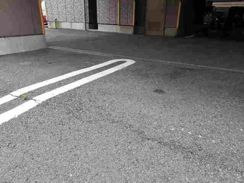Naikan11 20210607000000 945x630
