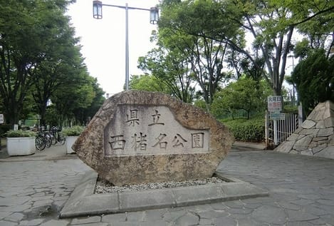 Naikan18 20250214000000
