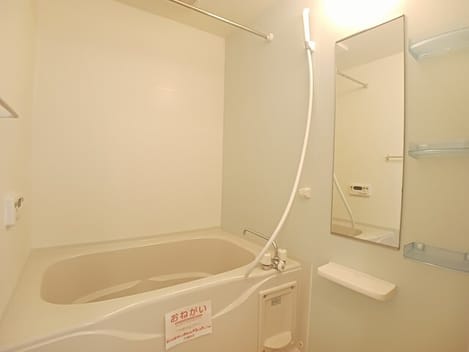 Naikan3 20250328000000