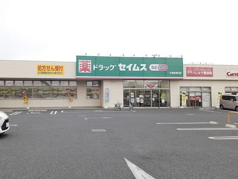 Naikan17 20250905000000