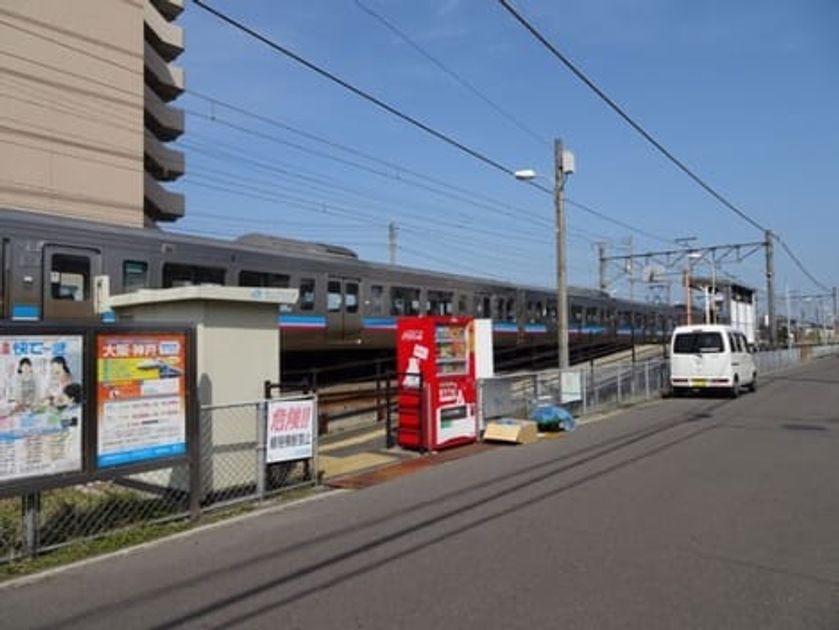 Naikan13 20200405000000 945x630