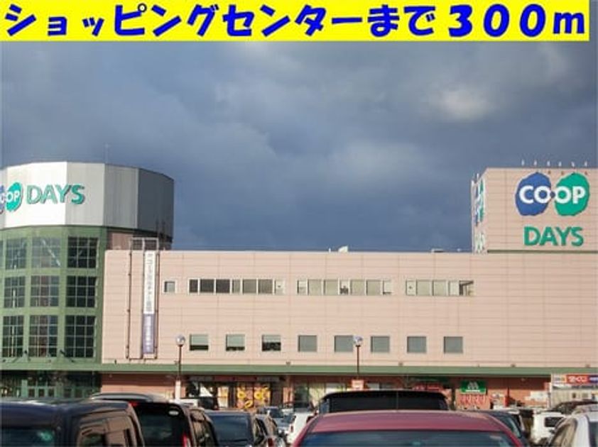 Naikan13 20140208000000 945x630