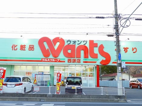 Naikan17 20250205000000