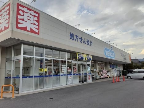 Naikan17 20241226000000