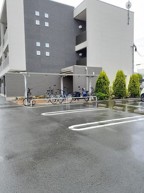 Naikan11 20230426000000