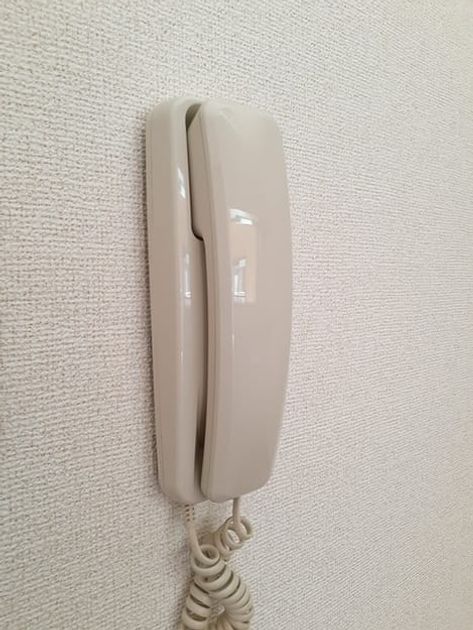 Naikan10 20231128000000 945x630