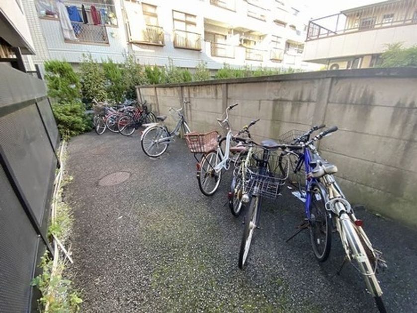 Naikan23 20260312130256 945x630