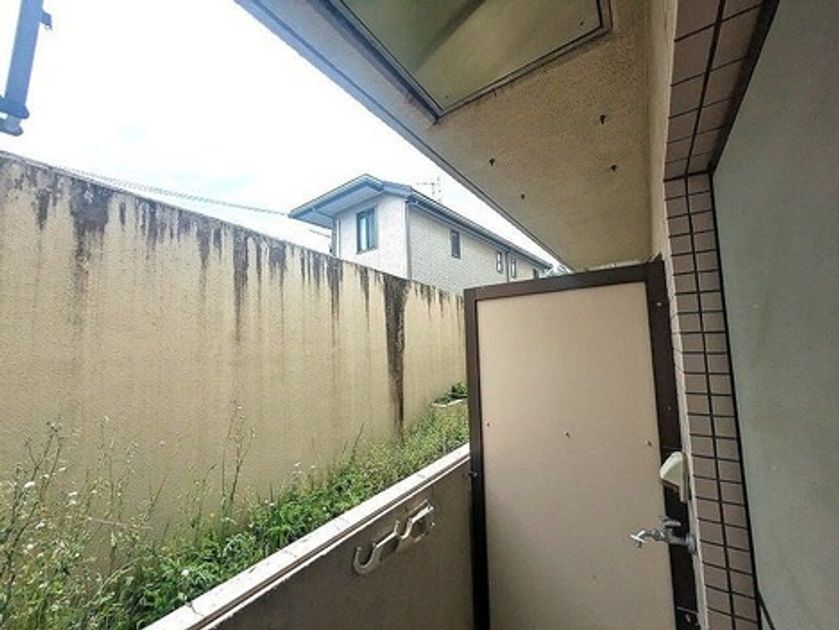Naikan15 20250605022504 945x630