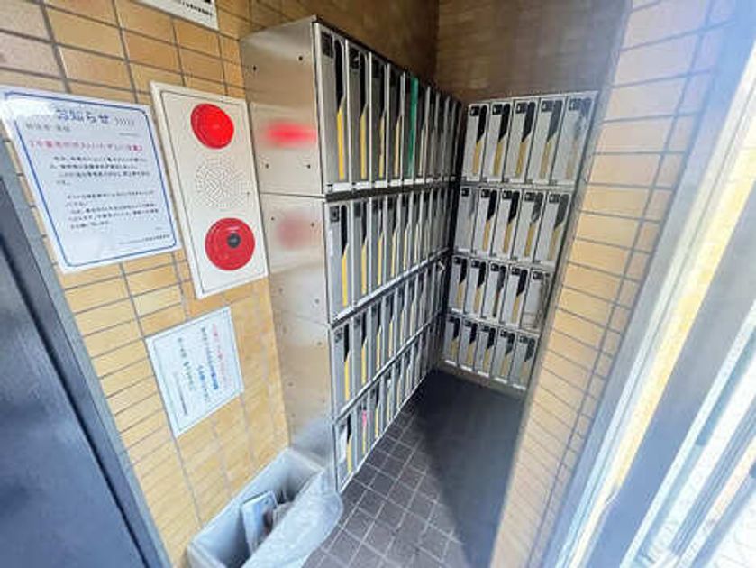 Naikan20 20250630031457 945x630