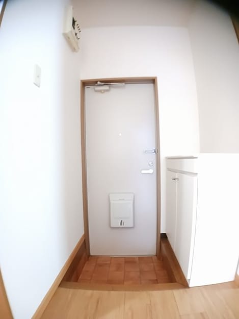 Naikan11 20241007000000