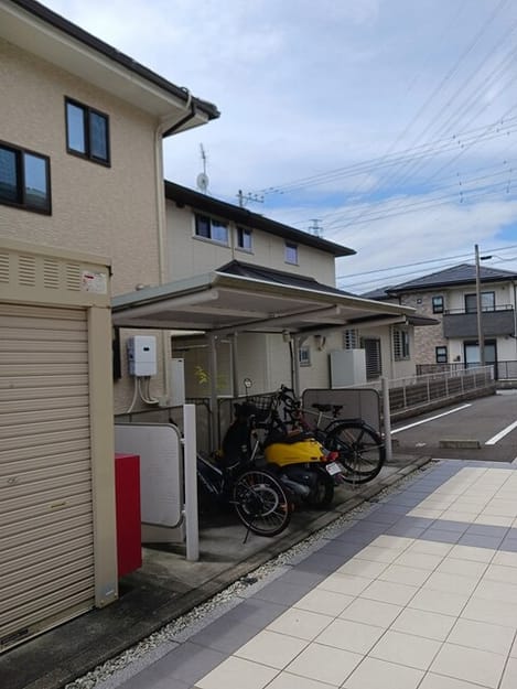 Naikan11 20260819000000