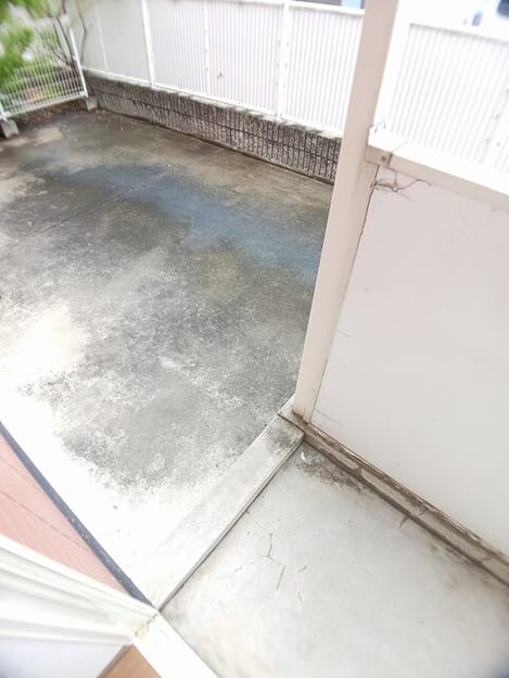 Naikan10 20250609000000