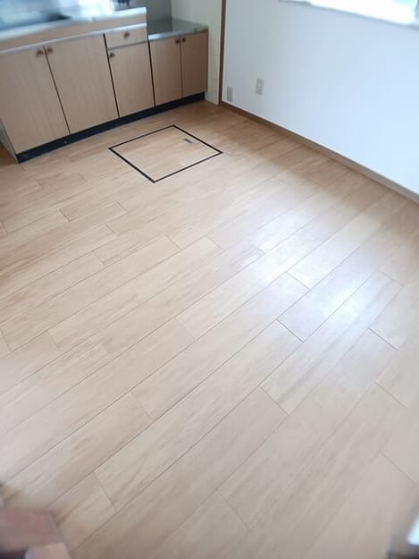 Naikan1 20250609000000