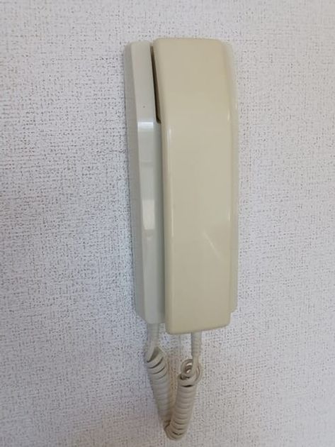 Naikan12 20250902000000 945x630
