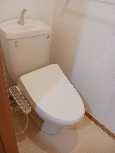 Naikan8 20251121000000 945x630