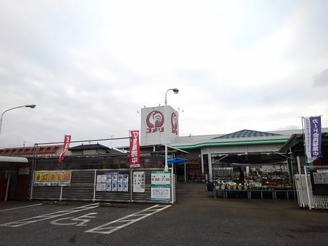 Naikan14 20241025000000