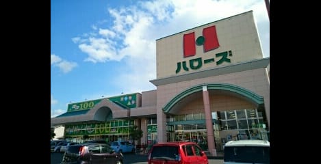 Naikan13 20200305000000