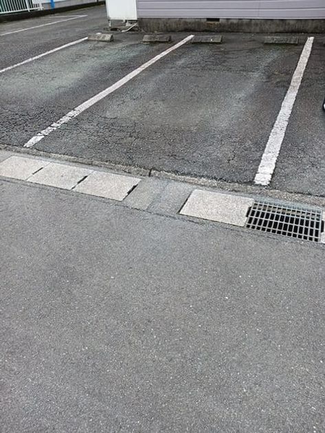 Naikan10 20250512000000 945x630