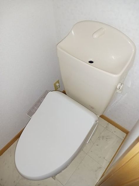 Naikan8 20261005000000 945x630