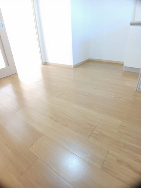 Naikan1 20251024000000