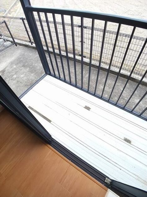 Naikan10 20260121000000 945x630