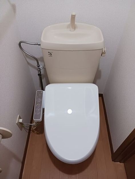 Naikan11 20251202000000 945x630