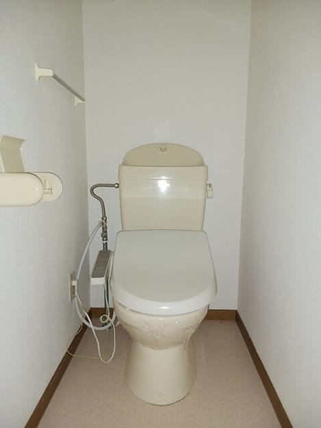 Naikan8 20260123000000