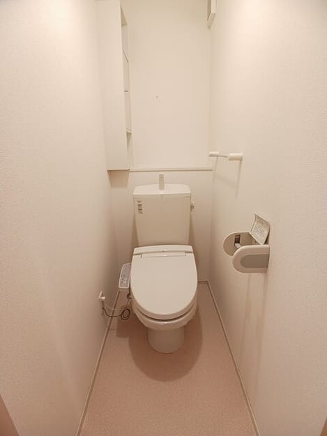 Naikan8 20260218000000