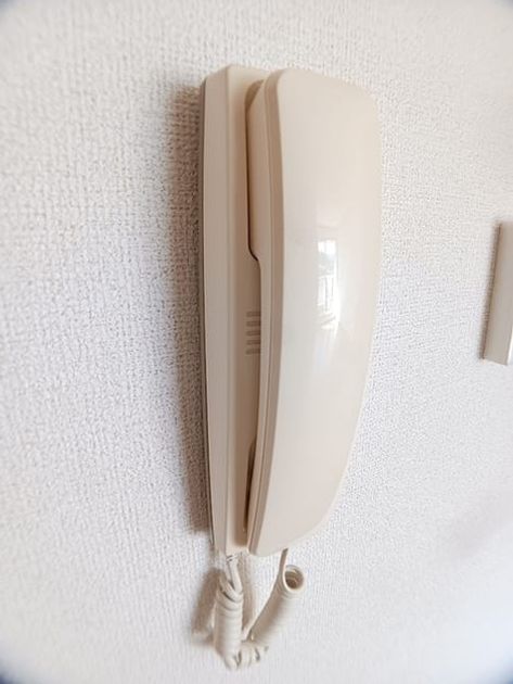 Naikan7 20261009000000 945x630