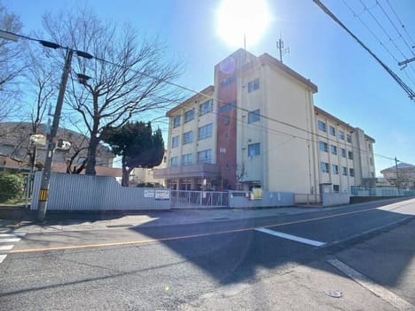 Naikan16 20260311000000 945x630
