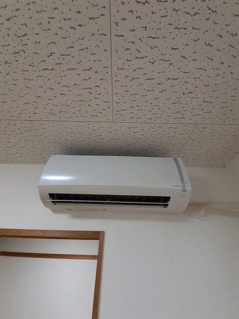 Naikan11 20260219000000
