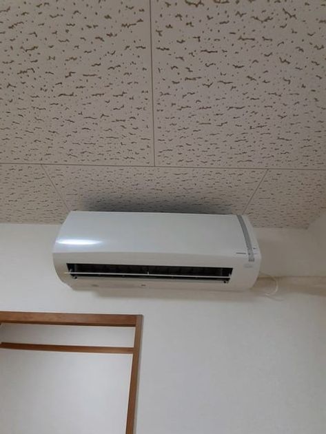 Naikan11 20260219000000 945x630