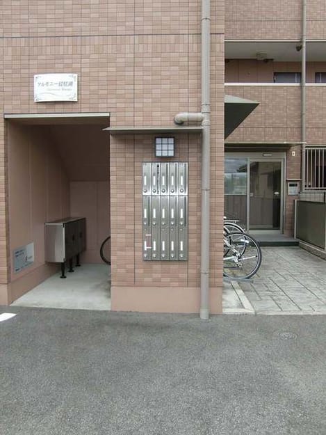 Naikan10 20250221000000