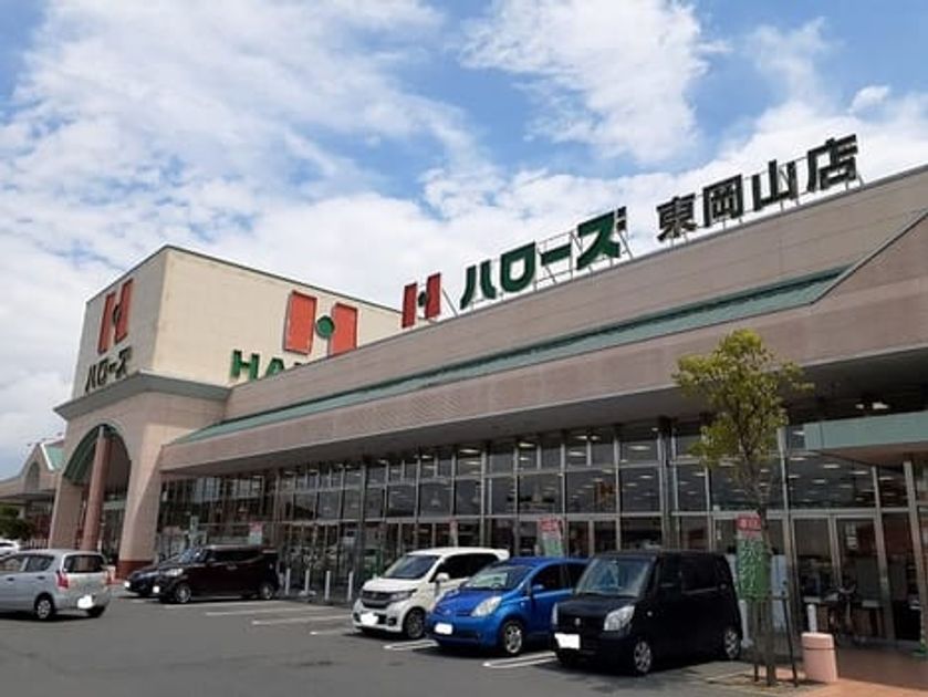 Naikan17 20251201000000 945x630