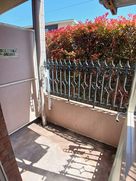 Naikan9 20260416000000