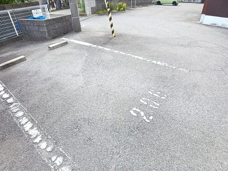 Naikan11 20260729000000