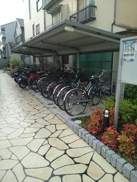 Naikan11 20251222000000 945x630