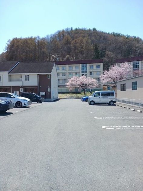 Naikan11 20260420000000 945x630
