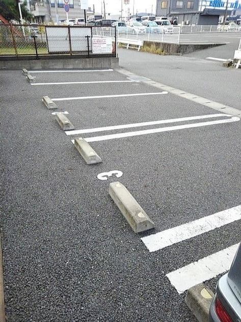 Naikan11 20260206000000 945x630