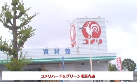 Naikan17 20200111000000