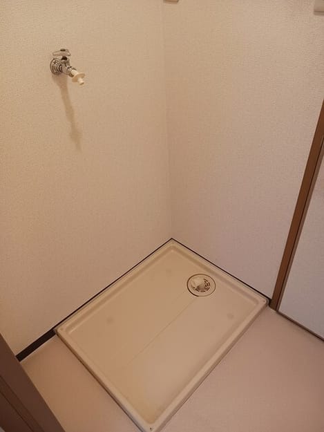 Naikan10 20250226000000