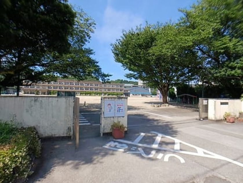 Naikan13 20260803000000 945x630