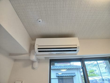Naikan10 20260803000000