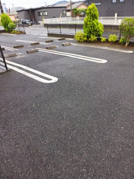 Naikan9 20260612000000