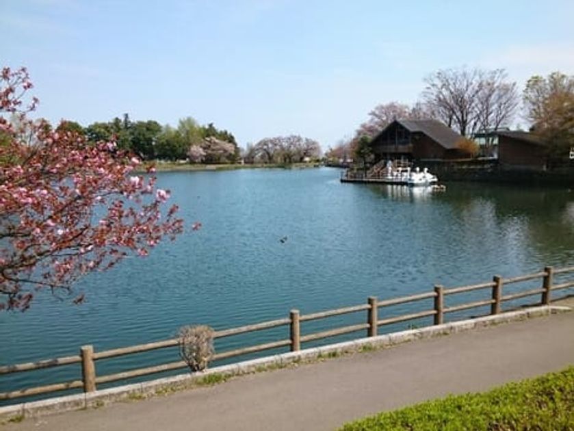 Naikan13 20210528000000 945x630