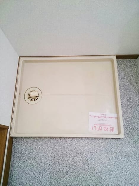 Naikan11 20260908000000
