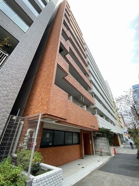 Naikan17 20251106134227 945x630