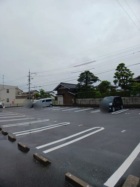 Naikan11 20260602000000