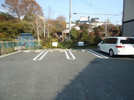 Naikan11 20241111000000